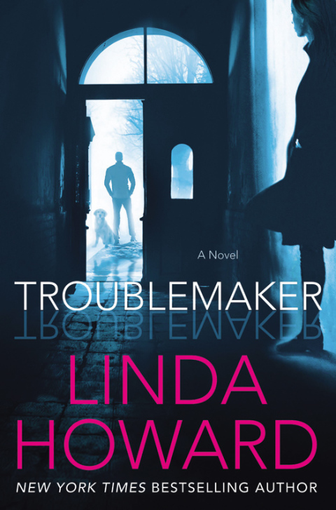 Cover image for book Troublemaker