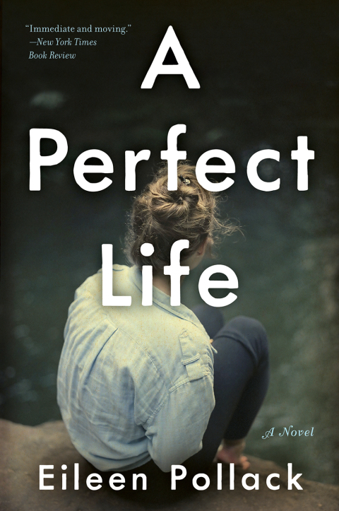 Cover image for book A Perfect Life