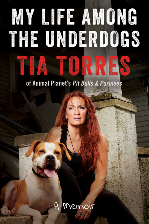 Cover image for book My Life Among the Underdogs