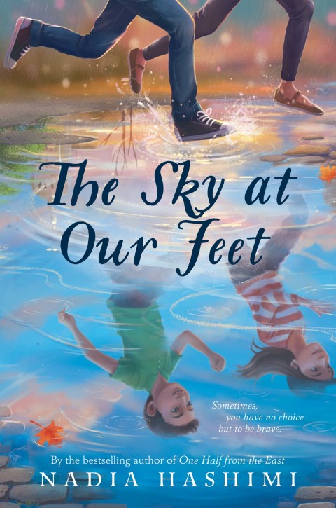 Cover image for book The Sky at Our Feet