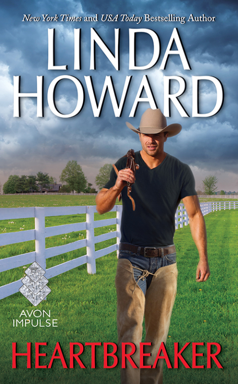 Cover image for book Heartbreaker