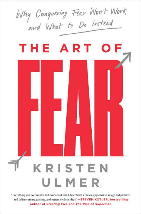 Cover image for book The Art of Fear