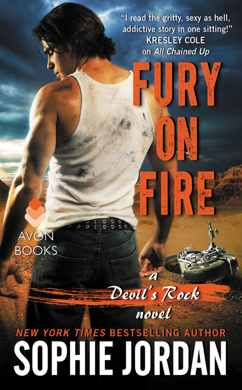 Cover image for book Fury on Fire
