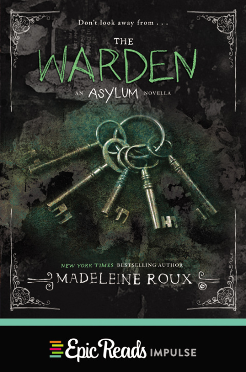 Cover image for book The Warden