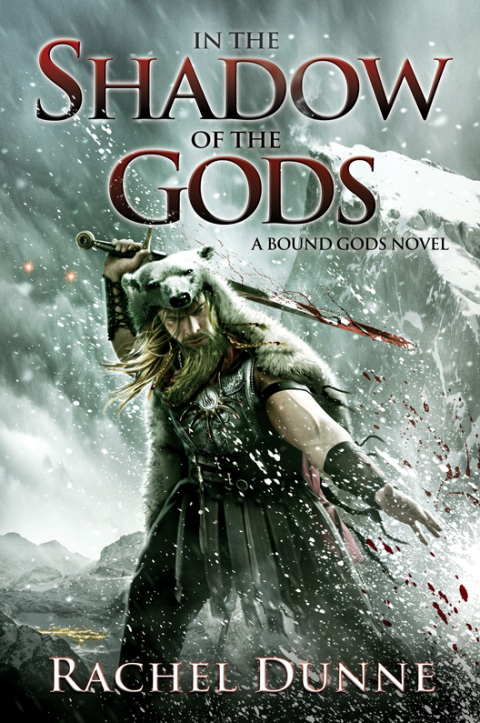 Cover image for book In the Shadow of the Gods
