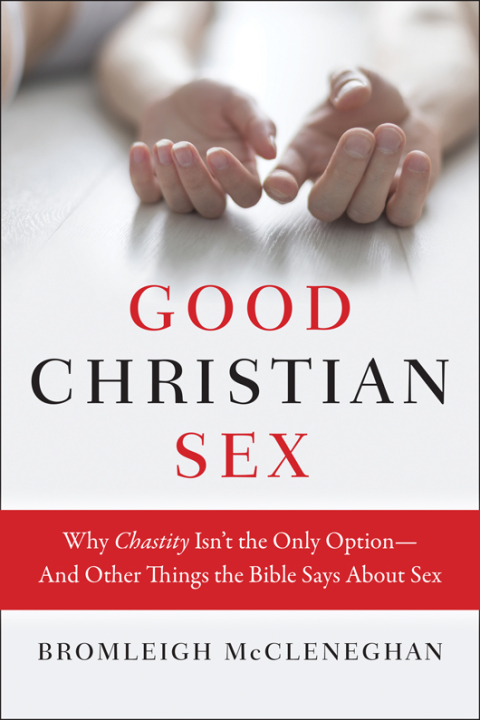 Cover image for book Good Christian Sex