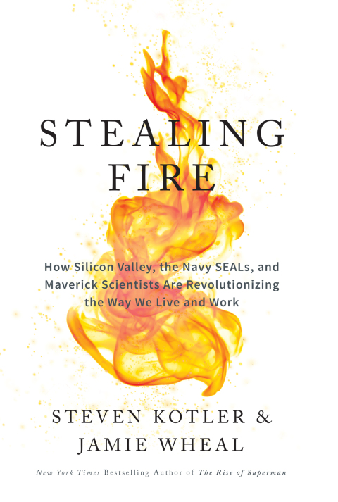 Cover image for book Stealing Fire