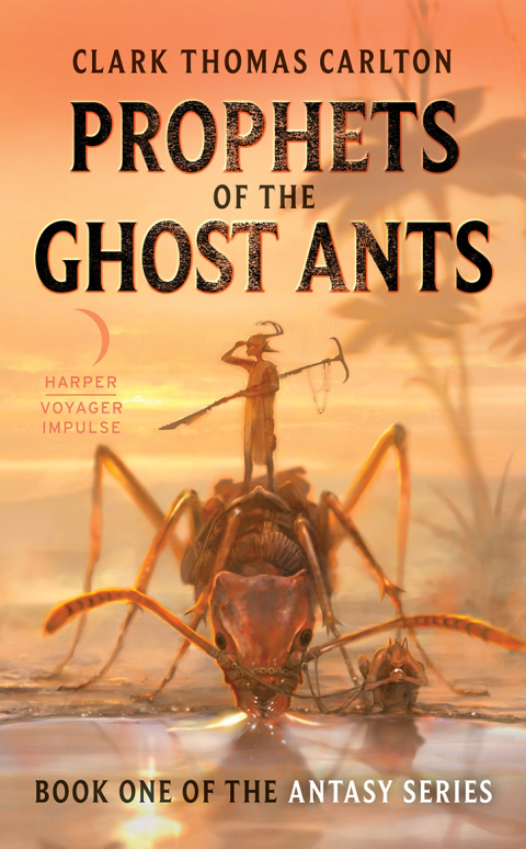 Cover image for book Prophets of the Ghost Ants
