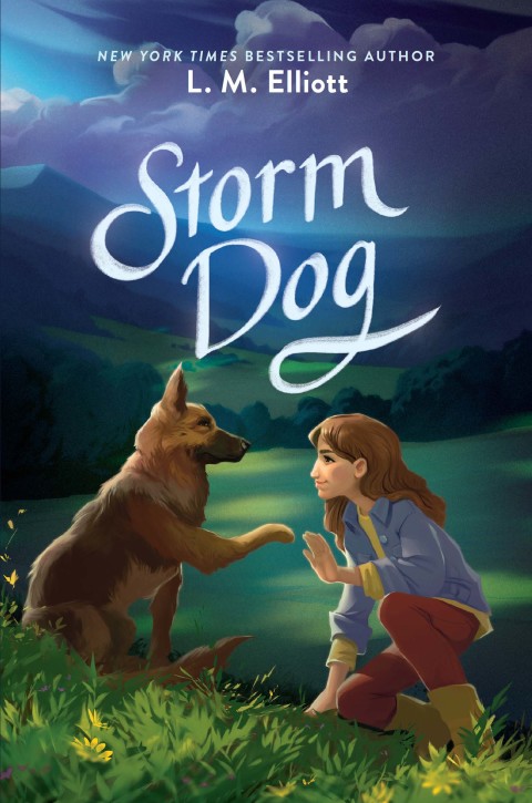 Cover image for book Storm Dog