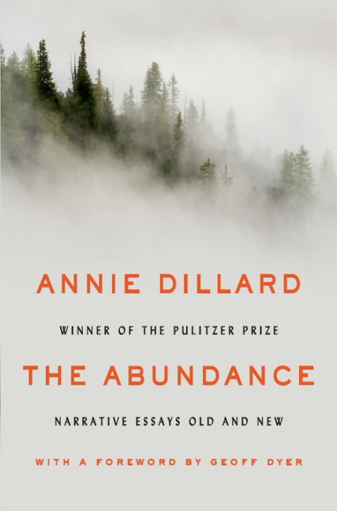 Cover image for book The Abundance