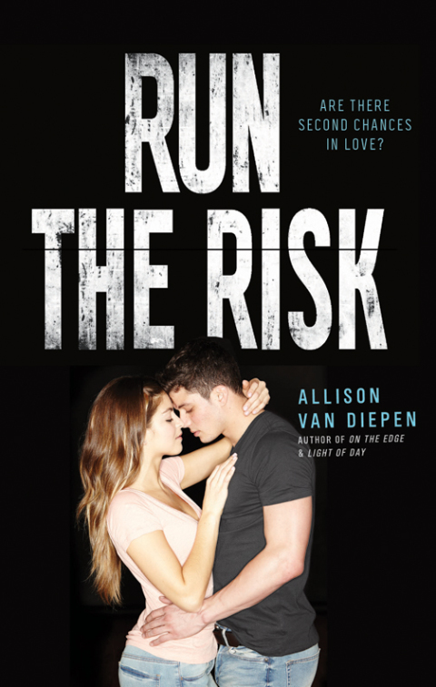 Cover image for book Run the Risk