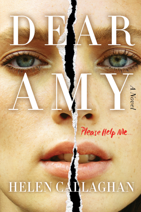 Cover image for book Dear Amy