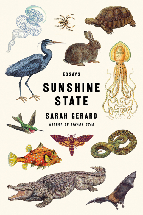 Cover image for book Sunshine State