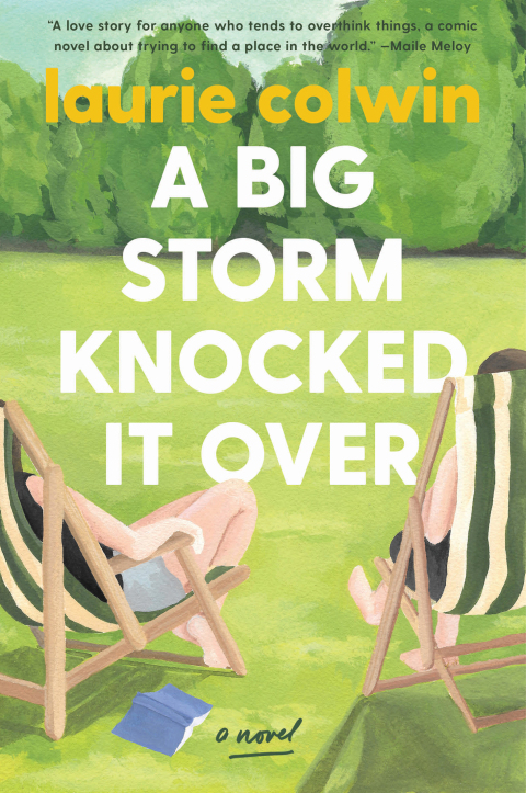 Cover image for book A Big Storm Knocked It Over