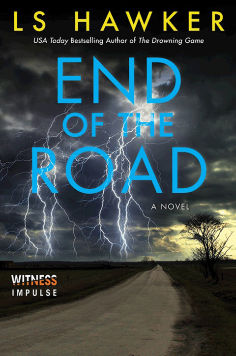 Cover image for book End of the Road