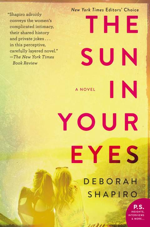 Cover image for book The Sun in Your Eyes