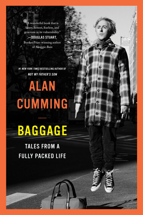 Cover image for book Baggage