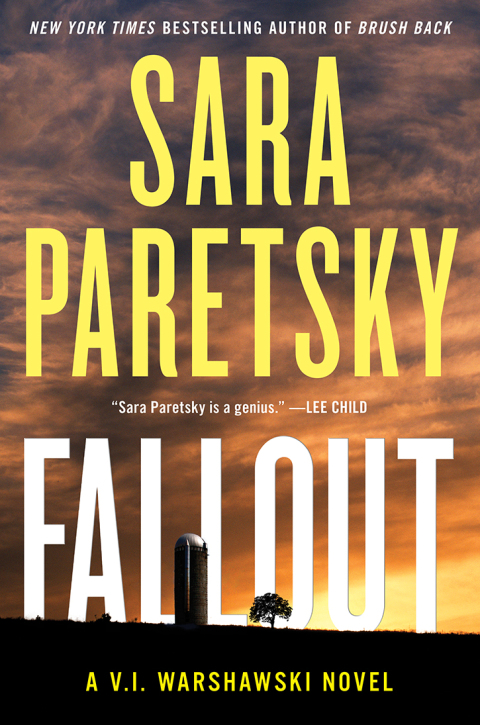 Cover image for book Fallout