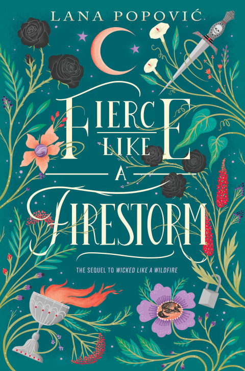 Cover image for book Fierce Like a Firestorm
