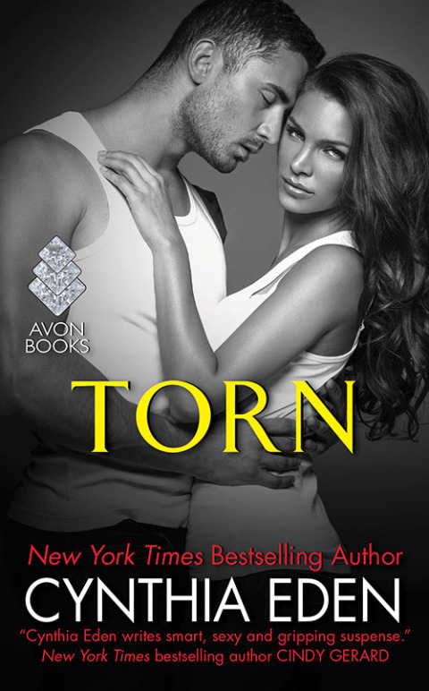Cover image for book Torn