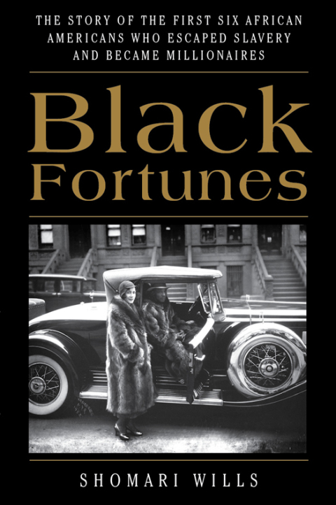 Cover image for book Black Fortunes