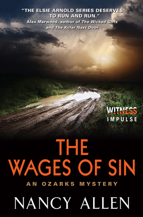 Cover image for book The Wages of Sin