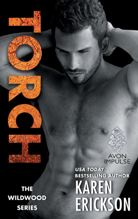 Cover image for book Torch
