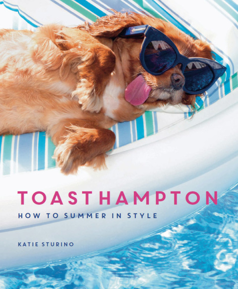 Cover image for book ToastHampton