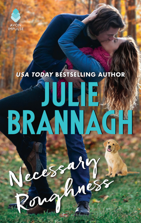 Cover image for book Necessary Roughness