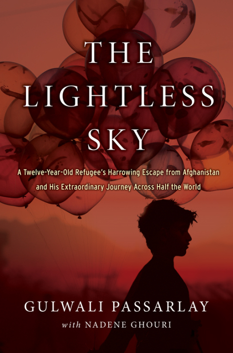 Cover image for book The Lightless Sky