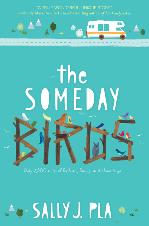 Cover image for book The Someday Birds