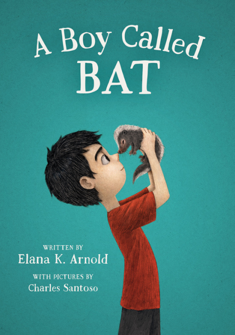 Cover image for book A Boy Called Bat