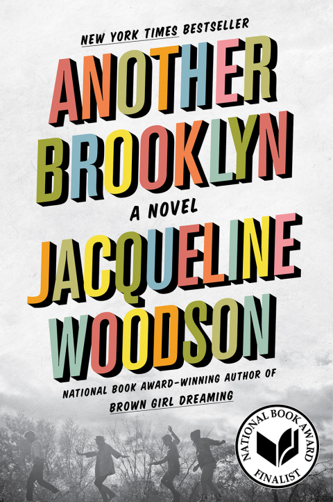 Cover image for book Another Brooklyn