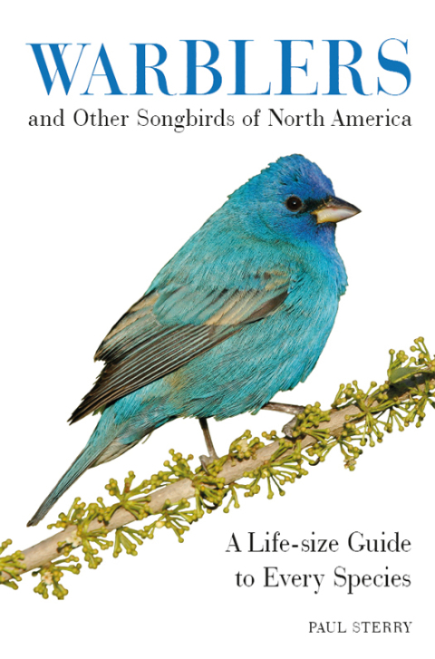 Cover image for book Warblers and Other Songbirds of North America