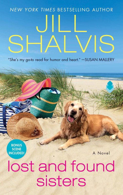 Cover image for book Lost and Found Sisters