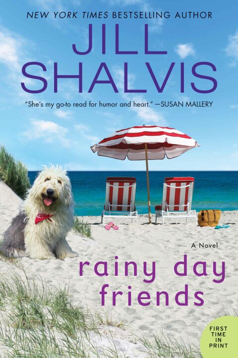 Cover image for book Rainy Day Friends