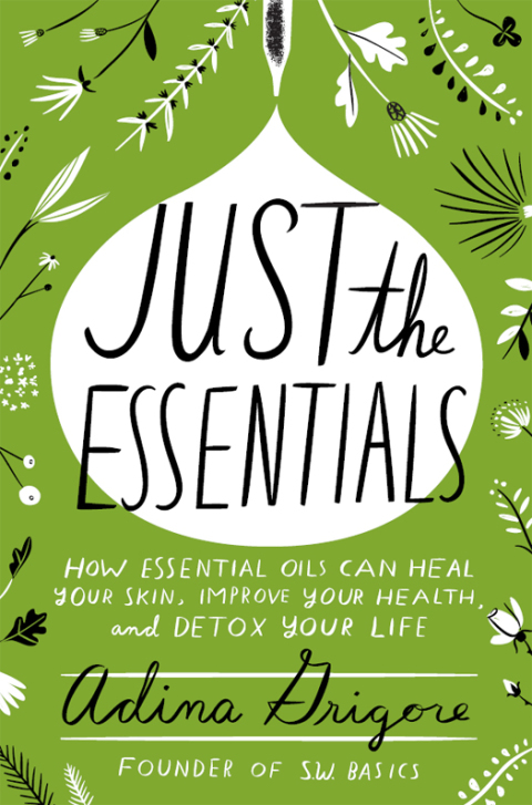 Cover image for book Just the Essentials