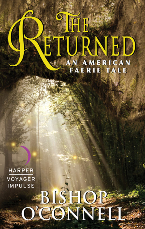 Cover image for book The Returned