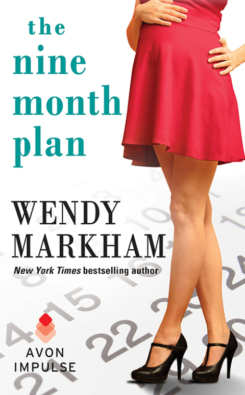 Cover image for book The Nine Month Plan