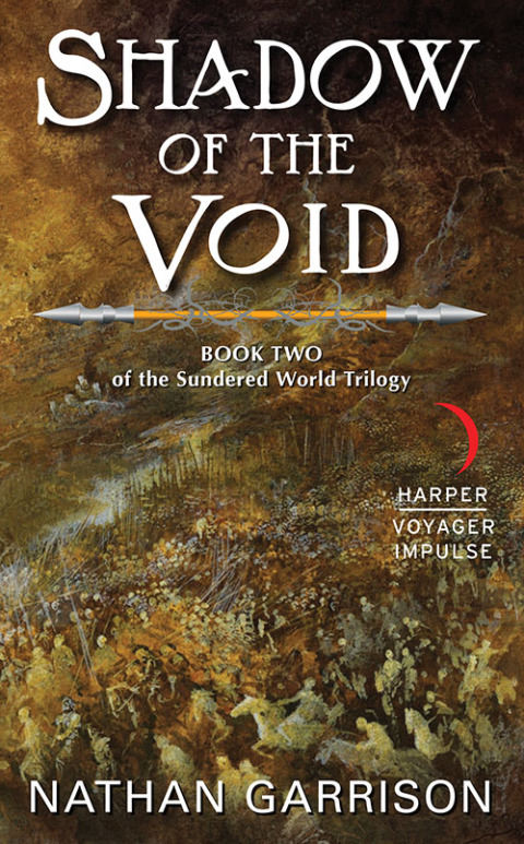 Cover image for book Shadow of the Void