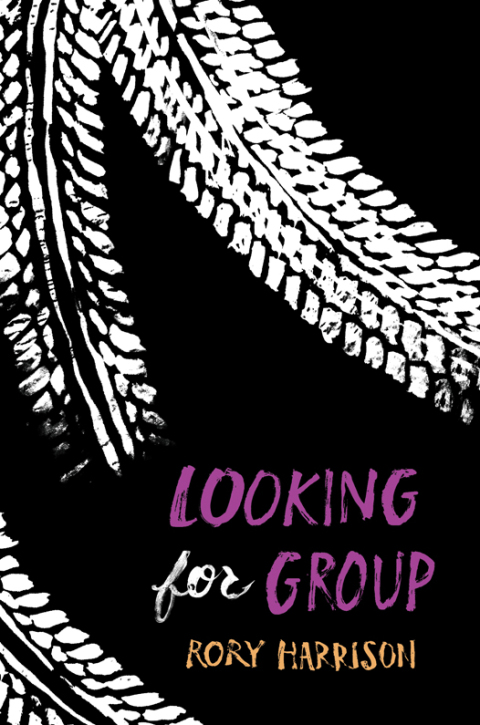 Cover image for book Looking for Group