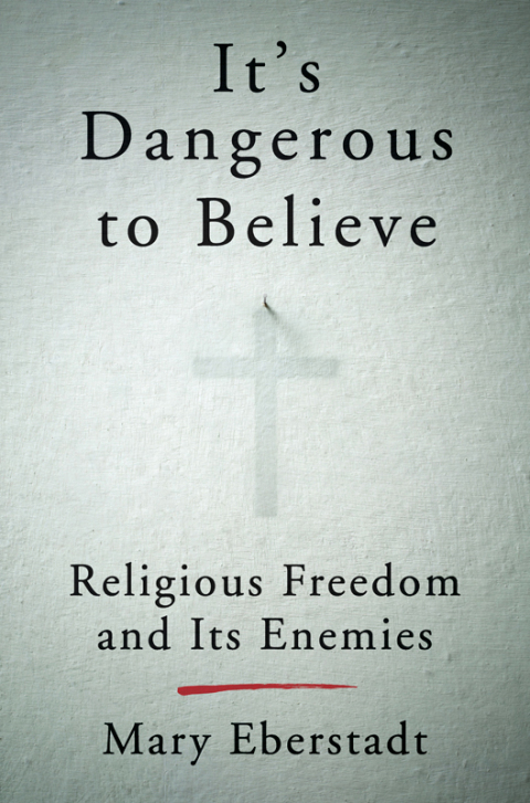 Cover image for book It's Dangerous to Believe
