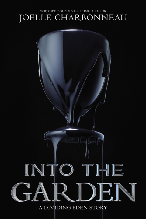 Cover image for book Into the Garden