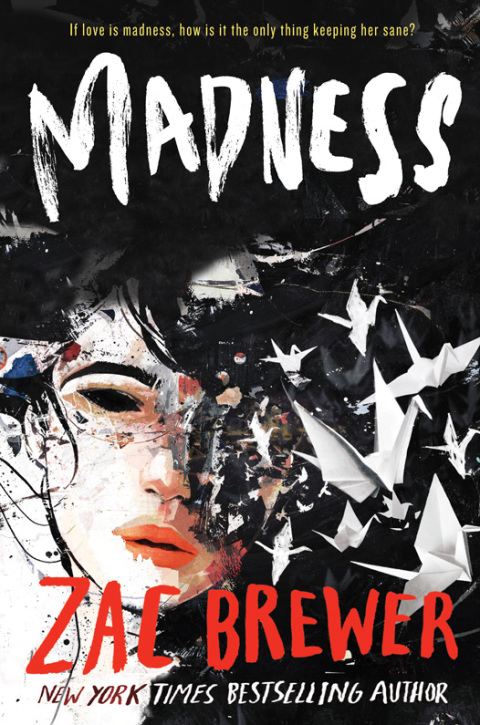 Cover image for book Madness