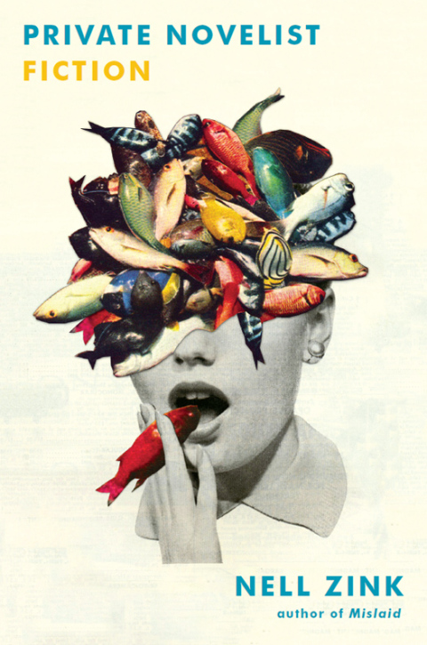 Cover image for book Private Novelist