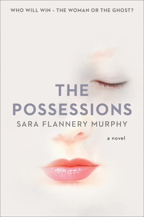 Cover image for book The Possessions