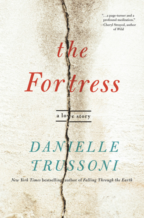 Cover image for book The Fortress