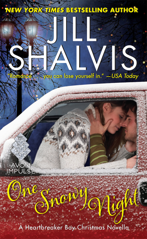 Cover image for book One Snowy Night