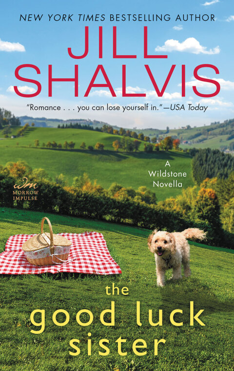 Cover image for book The Good Luck Sister