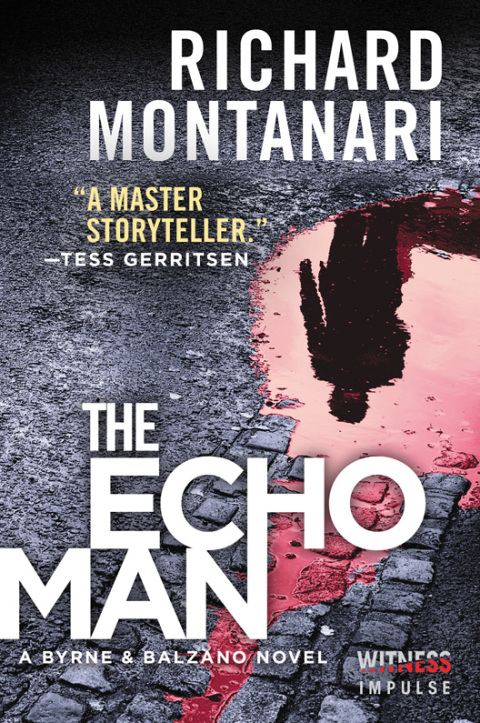Cover image for book The Echo Man